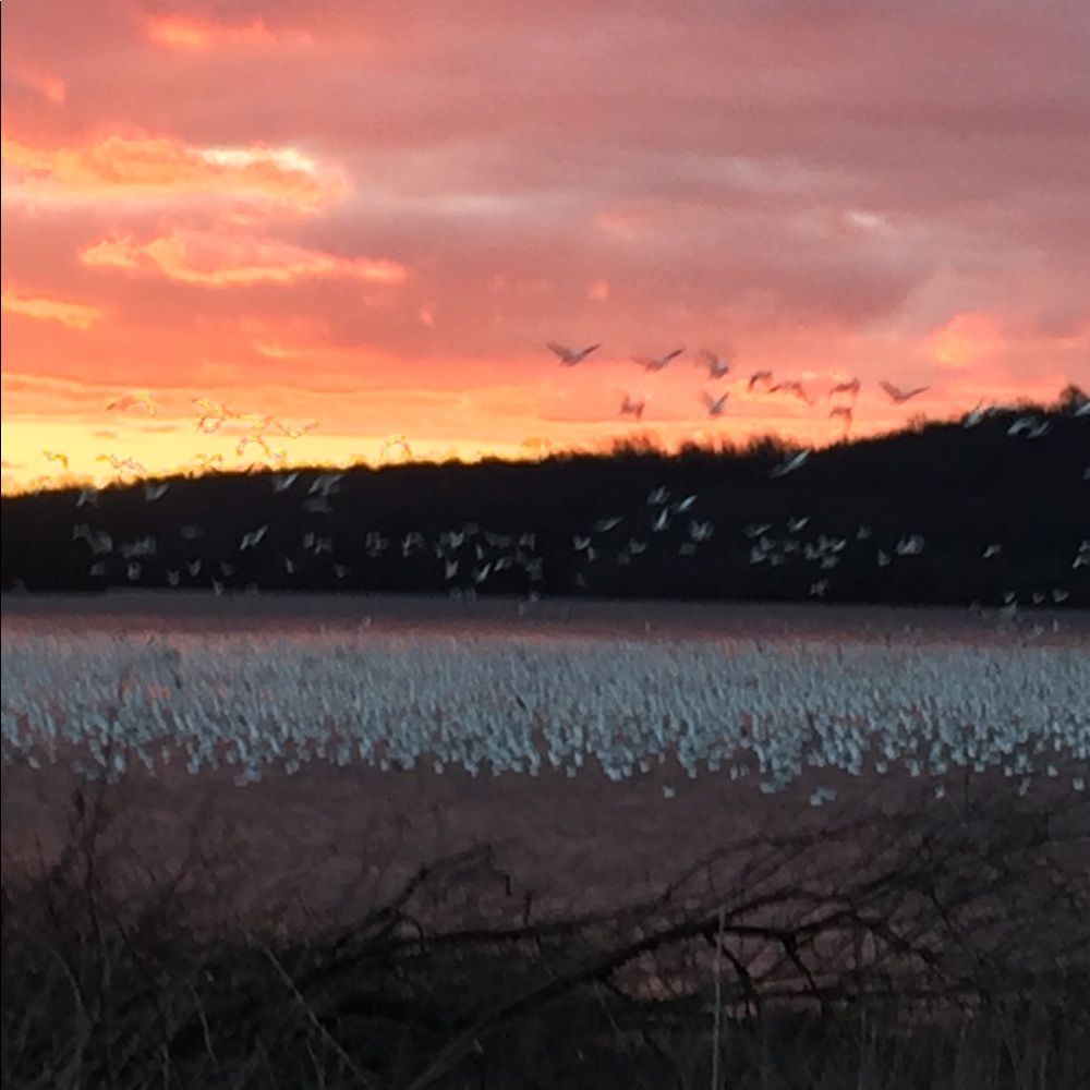 Meet your Posher, Mimi